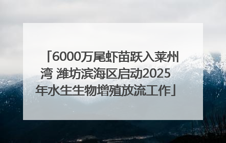 6000万尾虾苗跃入莱州湾 潍坊滨海区启动2025年水生生物增殖放流工作
