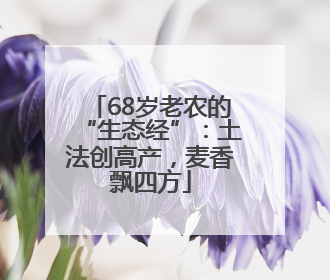 68岁老农的“生态经”：土法创高产，麦香飘四方