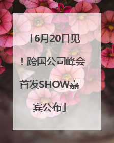 6月20日见！跨国公司峰会首发SHOW嘉宾公布