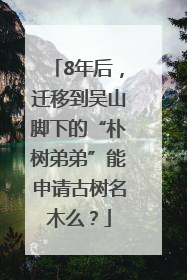 8年后，迁移到吴山脚下的“朴树弟弟”能申请古树名木么？