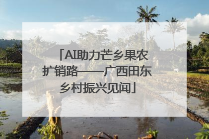 AI助力芒乡果农扩销路——广西田东乡村振兴见闻