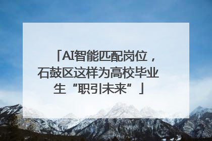 AI智能匹配岗位，石鼓区这样为高校毕业生“职引未来”