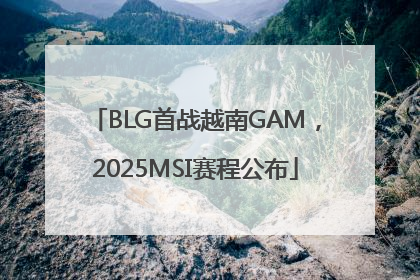 BLG首战越南GAM，2025MSI赛程公布