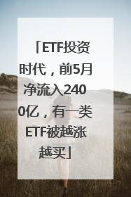 ETF投资时代，前5月净流入2400亿，有一类ETF被越涨越买