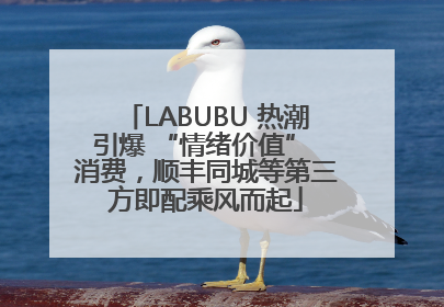 LABUBU 热潮引爆 “情绪价值” 消费，顺丰同城等第三方即配乘风而起