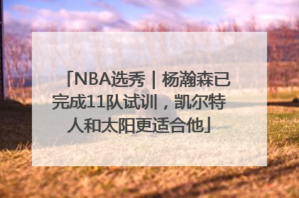 NBA选秀｜杨瀚森已完成11队试训，凯尔特人和太阳更适合他